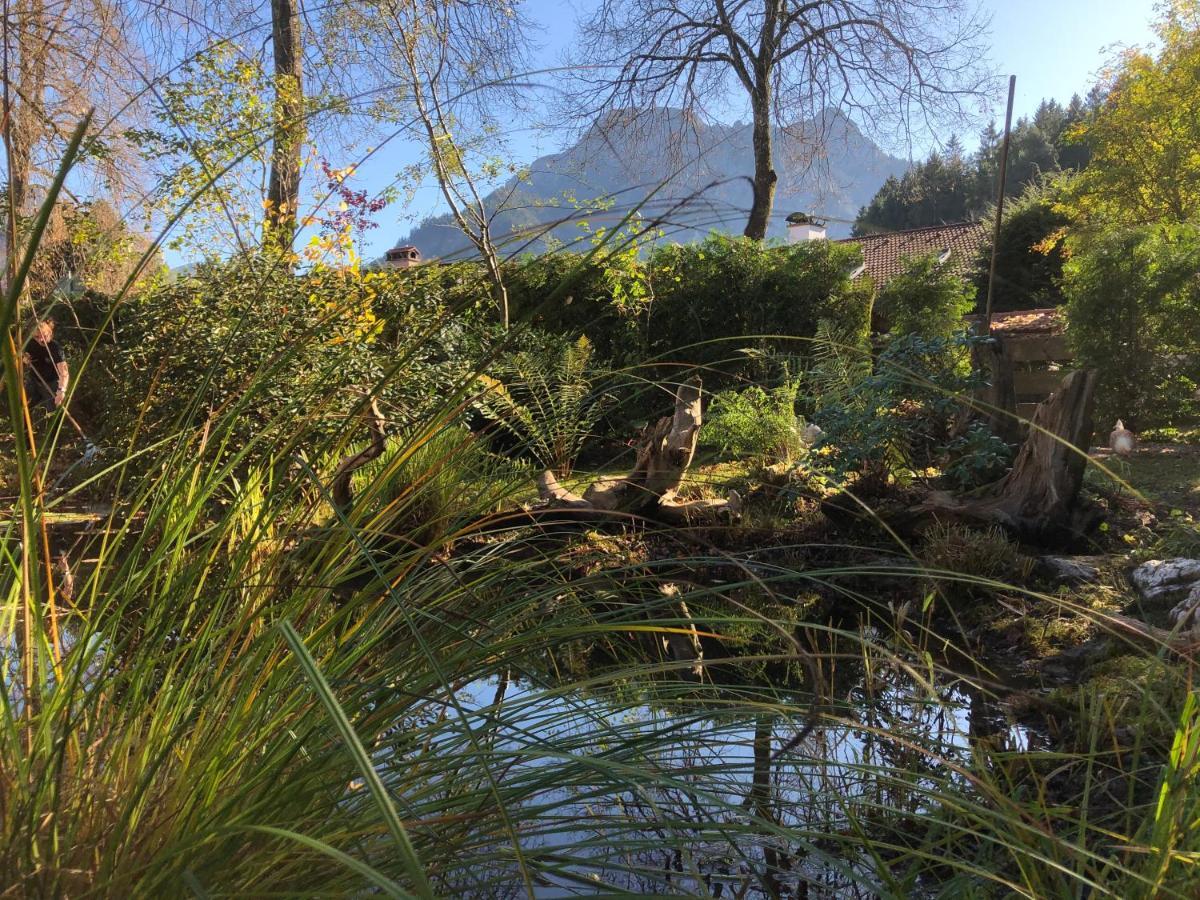 Haus Bullachberg Schwangau Esterno foto
